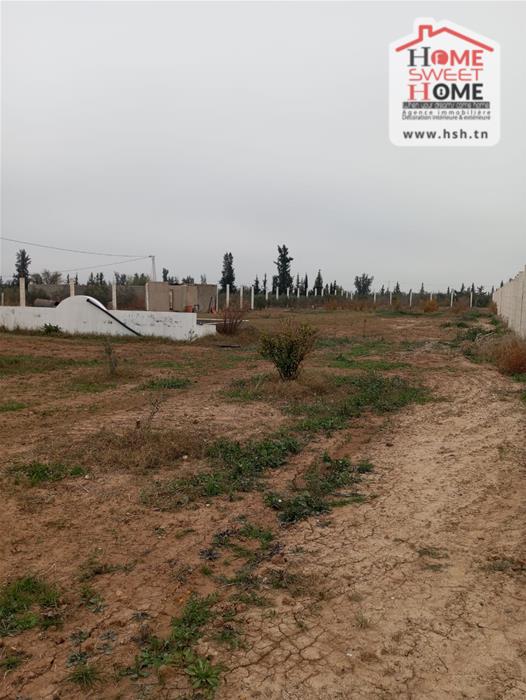 Terrain Terrain agricole