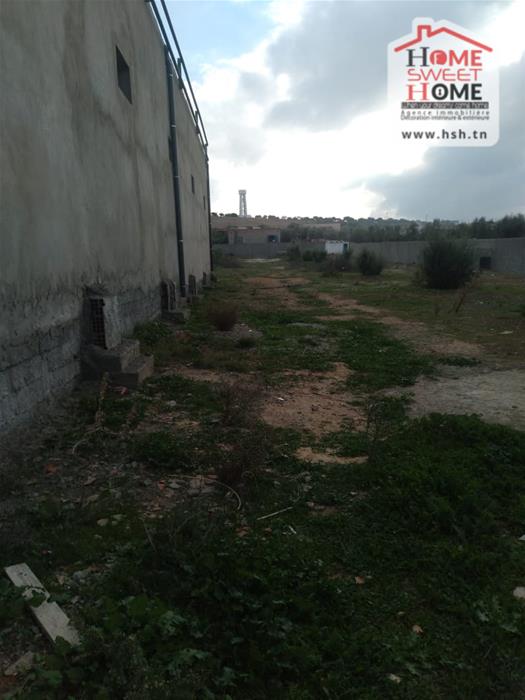 Oued Ellil&nbsp;Essaida&nbsp;Location&nbsp;Autre&nbsp;D�p�t axo � essaida manouba