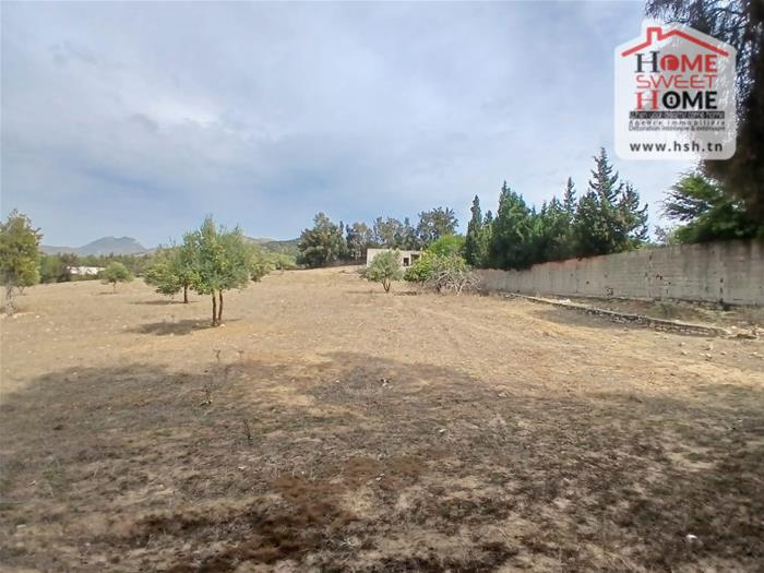 Mornag&nbsp;Mornag&nbsp;Terrain&nbsp;Terrain agricole&nbsp;Terrain agricole morel � mornag