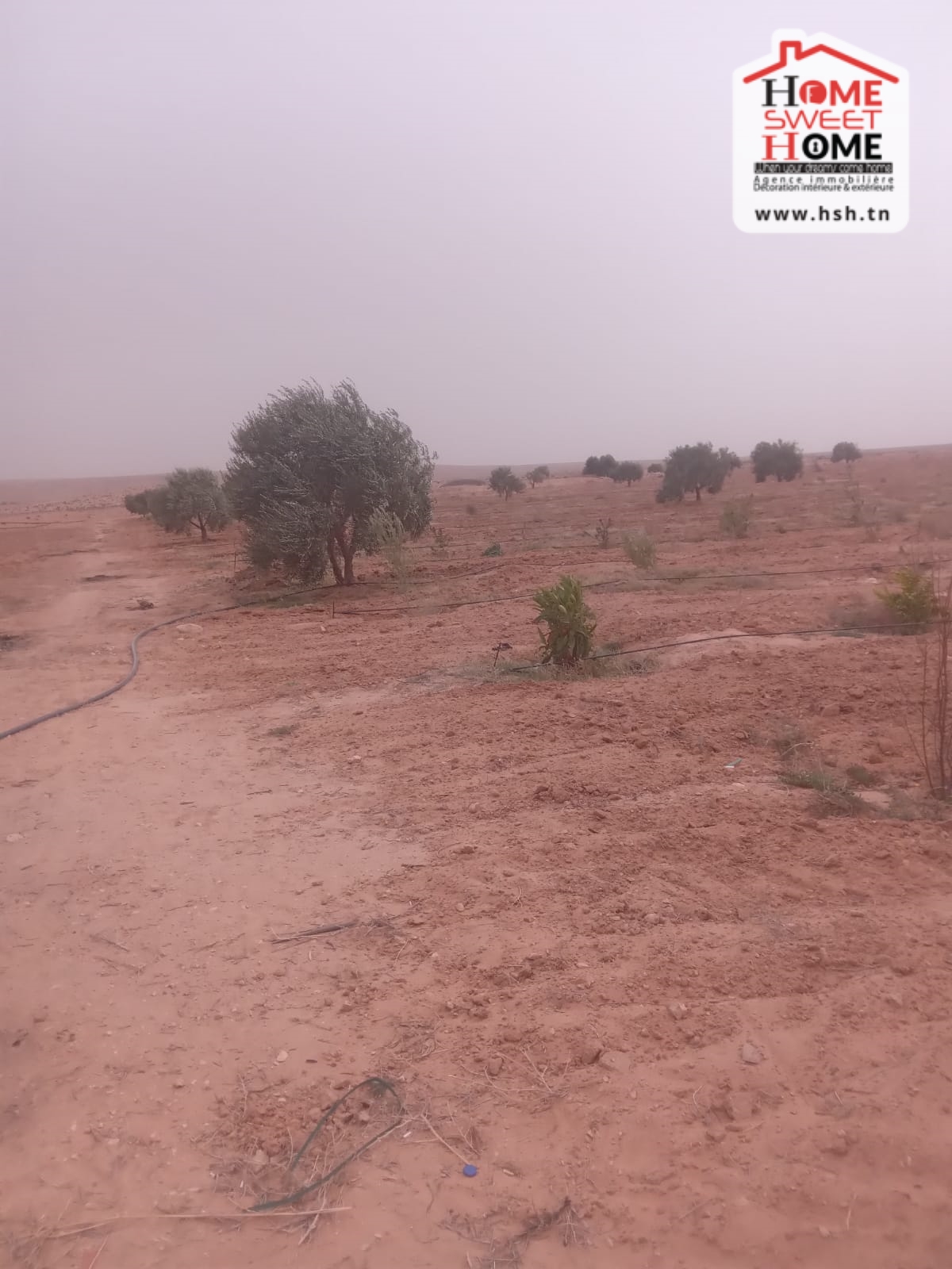 Sidi Aich&nbsp;Sidi Aich&nbsp;Terrain&nbsp;Terrain agricole&nbsp;Terrain agricole ryann � sidi aich
