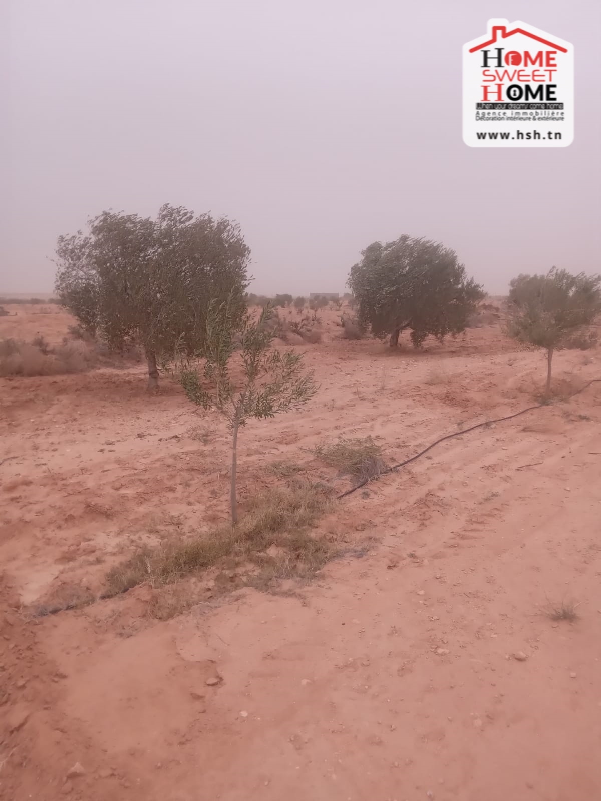 Terrain&nbsp;Terrain agricole