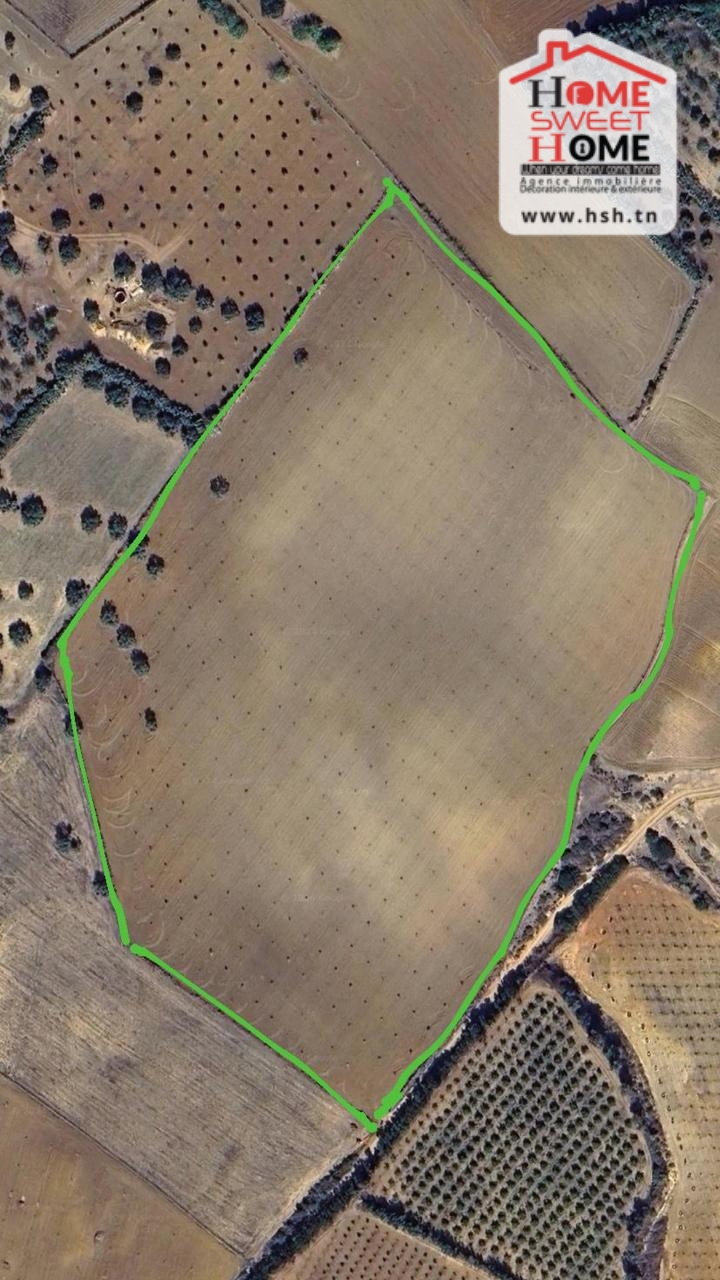 Terrain&nbsp;Terrain agricole