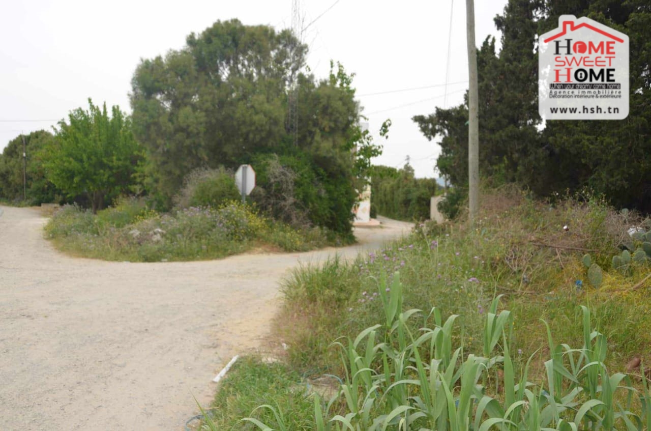 Menzel Bouzelfa&nbsp;Menzel Bouzelfa&nbsp;Terrain&nbsp;Terrain agricole&nbsp;Firma el zayati � menzel bouzalfa