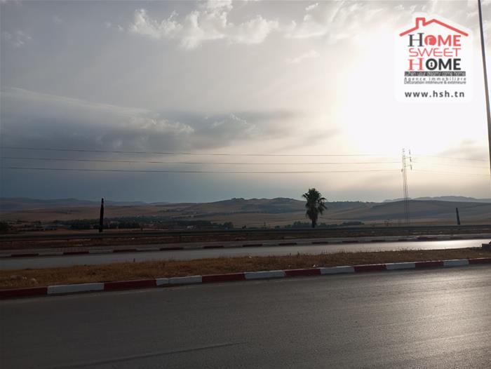 Terrain&nbsp;Terrain nu