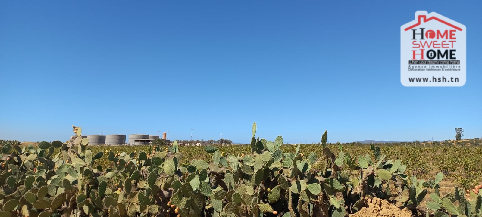 Nabeul&nbsp;Nabeul&nbsp;Terrain&nbsp;Terrain agricole&nbsp;Terrain agricole valy � nabeul