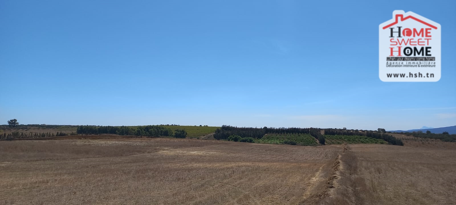 Terrain&nbsp;Terrain agricole