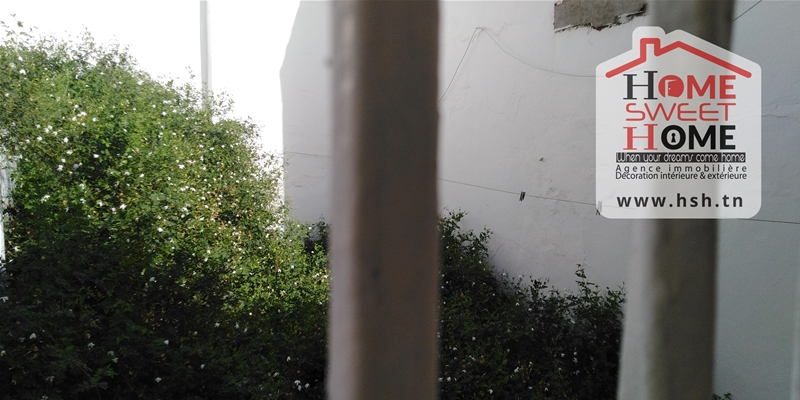 Terrain&nbsp;Terrain nu