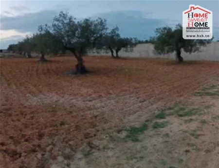 Terrain&nbsp;Terrain nu