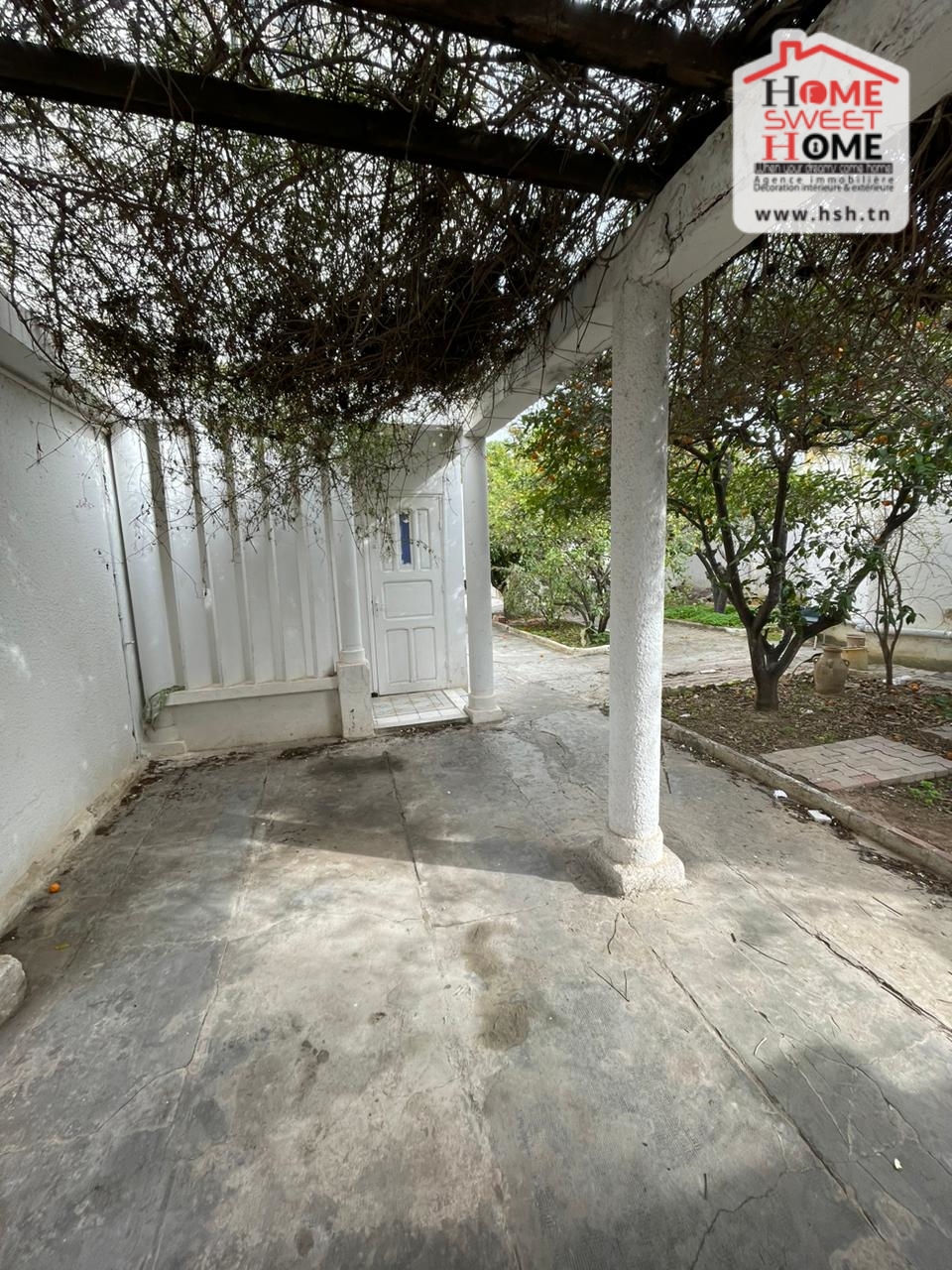 Bab Bhar&nbsp;Bab Bhar&nbsp;Vente&nbsp;Appart. 5 pi�ces+&nbsp;Immeuble zayne � bellevue