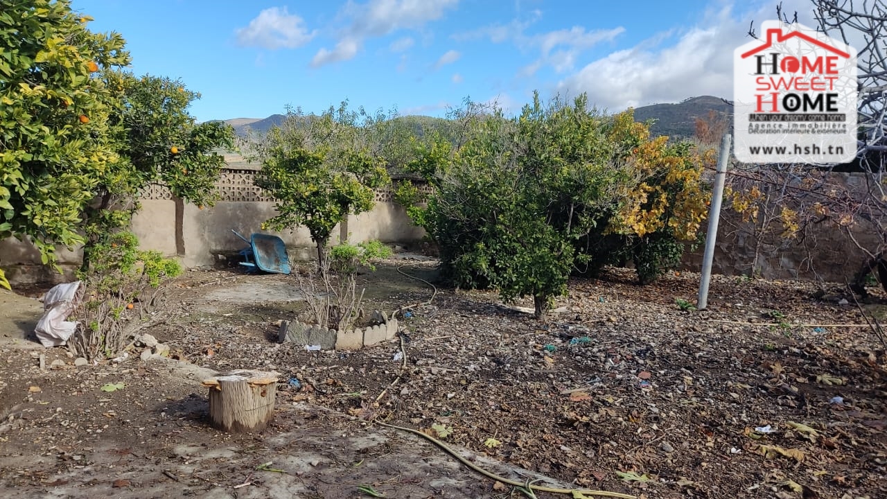 Nebeur&nbsp;Nebeur&nbsp;Vente&nbsp;Maisons&nbsp;Villa syri � nebeur kef