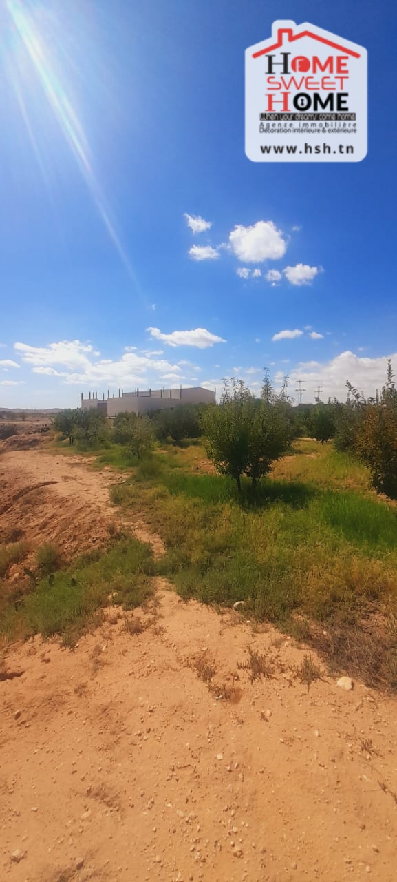 Gafsa Nord&nbsp;Ouled Zid&nbsp;Terrain&nbsp;Terrain agricole&nbsp;Terrain agricole prairie � feriana