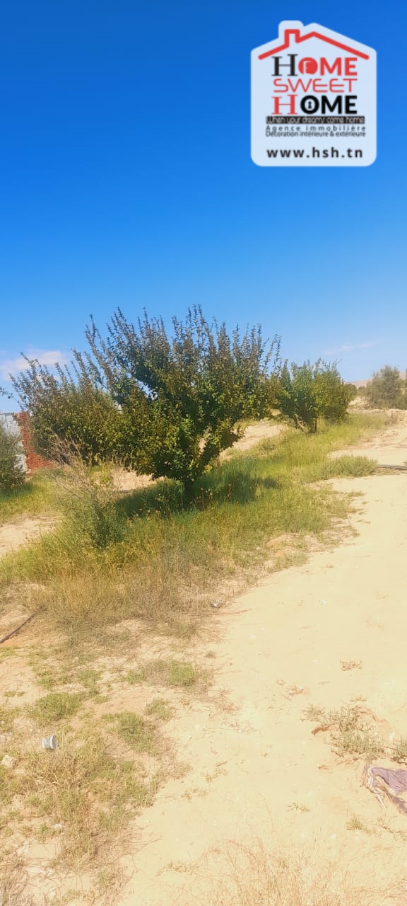 Terrain&nbsp;Terrain agricole