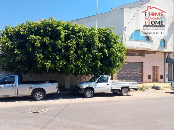 Terrain&nbsp;Terrain nu