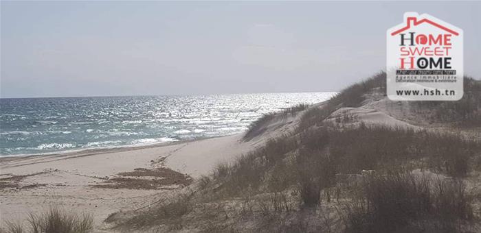 Terrain&nbsp;Terrain nu