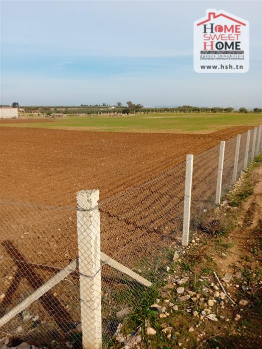 Borj El Amri&nbsp;Borj El Amri&nbsp;Terrain&nbsp;Terrain agricole&nbsp;Terrain agricole baraka borj el amri