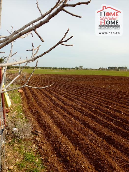 Terrain&nbsp;Terrain agricole