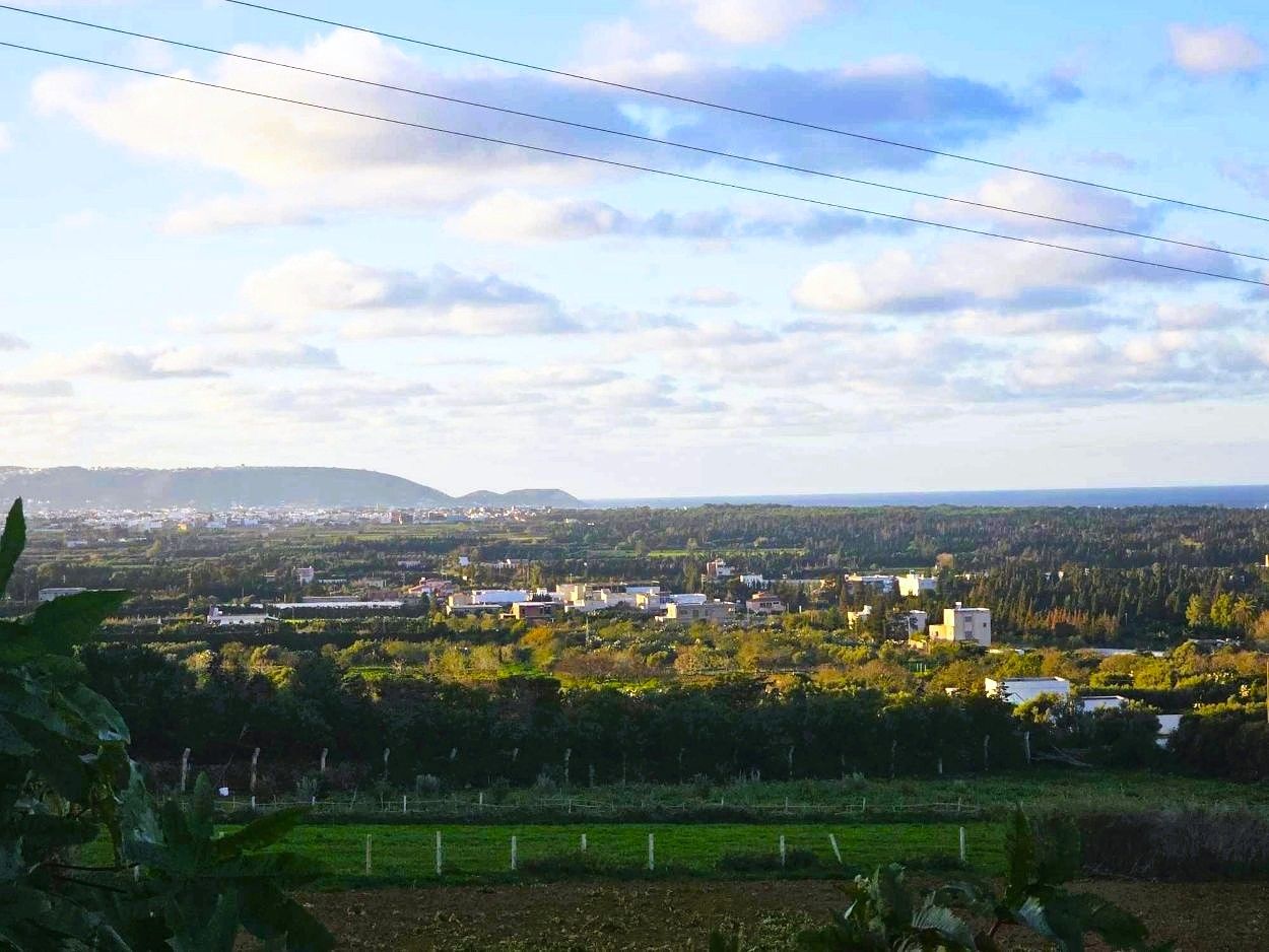 Terrain&nbsp;Terrain nu