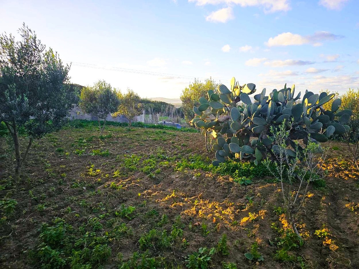 Terrain&nbsp;Terrain nu