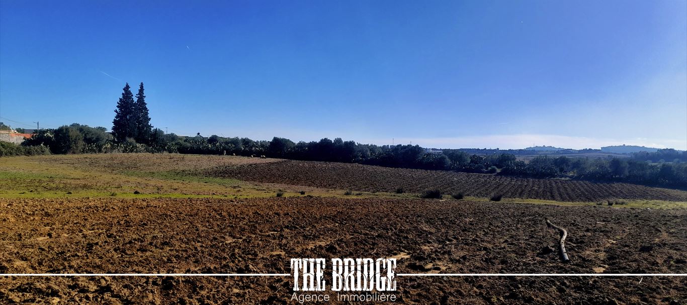 Terrain&nbsp;Terrain agricole