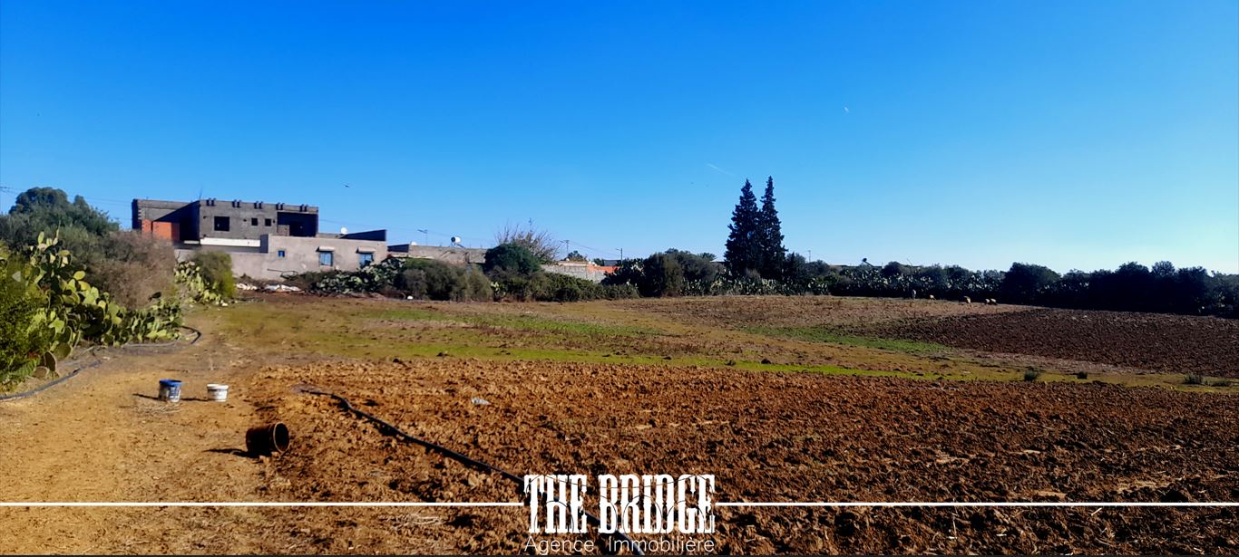 Bou Argoub&nbsp;Bou Ali&nbsp;Terrain&nbsp;Terrain agricole&nbsp;Terrain nu de 13 977 mc � bou argoub