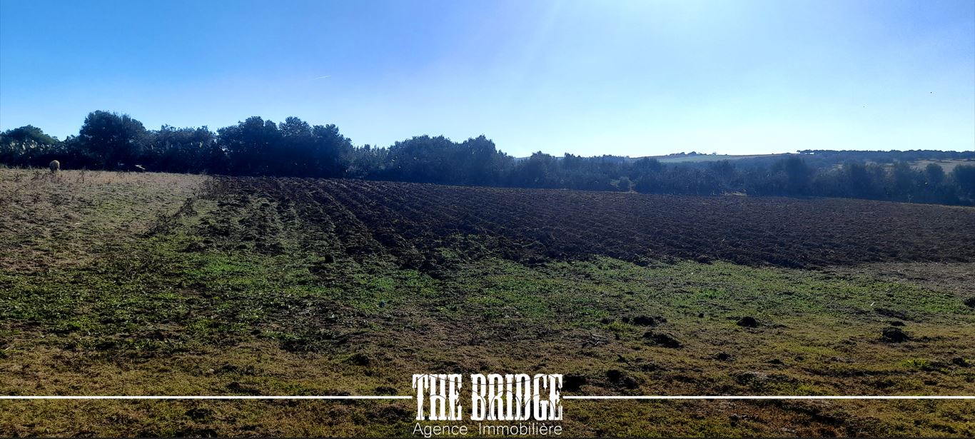 Bou Argoub&nbsp;Bou Ali&nbsp;Terrain&nbsp;Terrain agricole&nbsp;Terrain nu de 13 977 mc � bou argoub