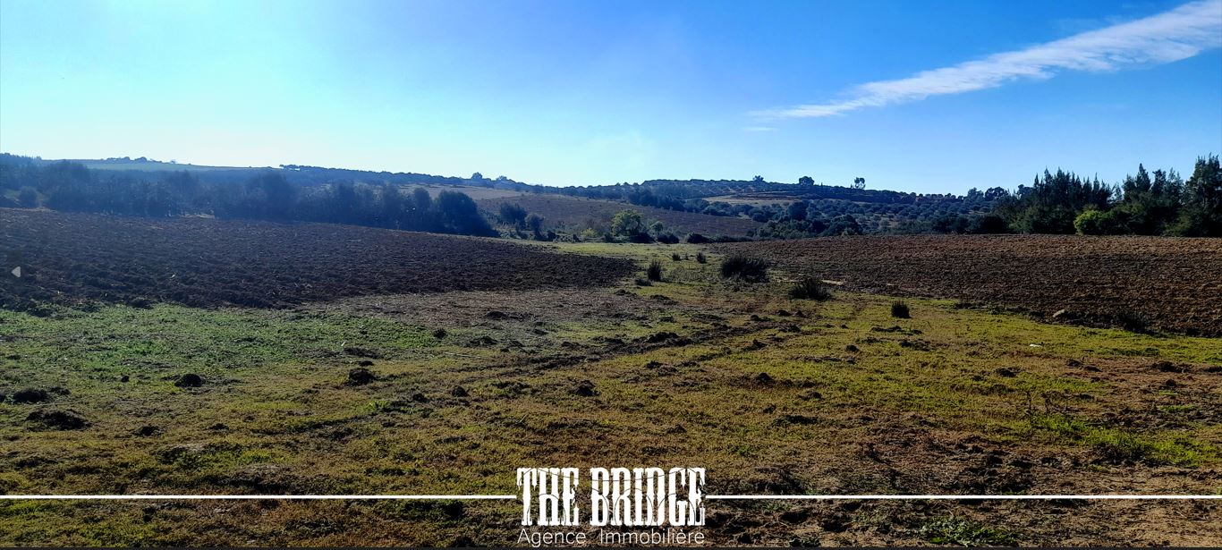 Bou Argoub&nbsp;Bou Ali&nbsp;Terrain&nbsp;Terrain agricole&nbsp;Terrain nu de 13 977 mc � bou argoub