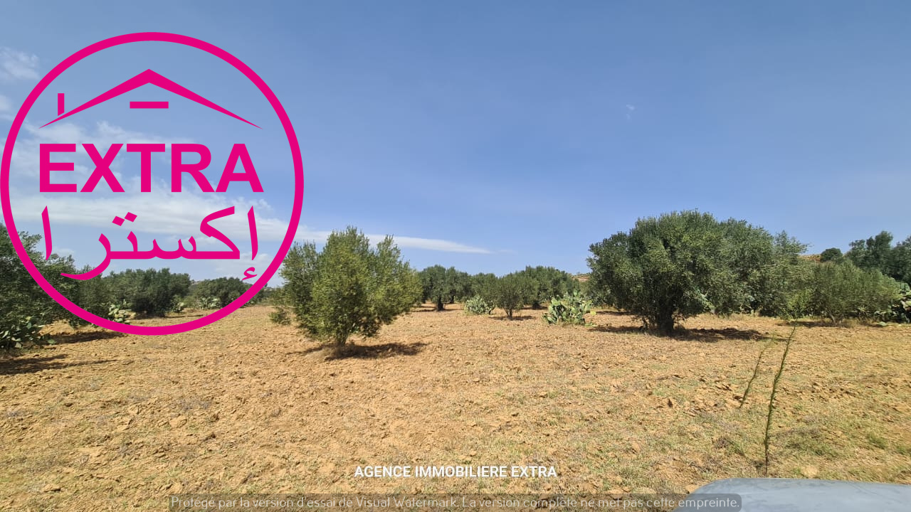 Terrain Terrain agricole