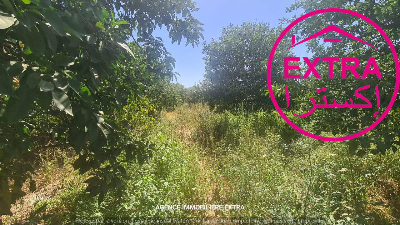 Terrain Terrain agricole