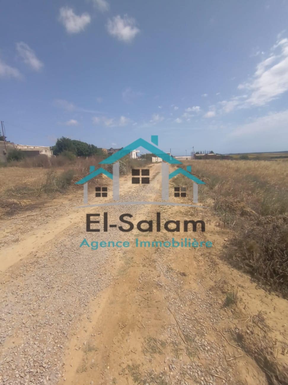 Terrain&nbsp;Terrain nu