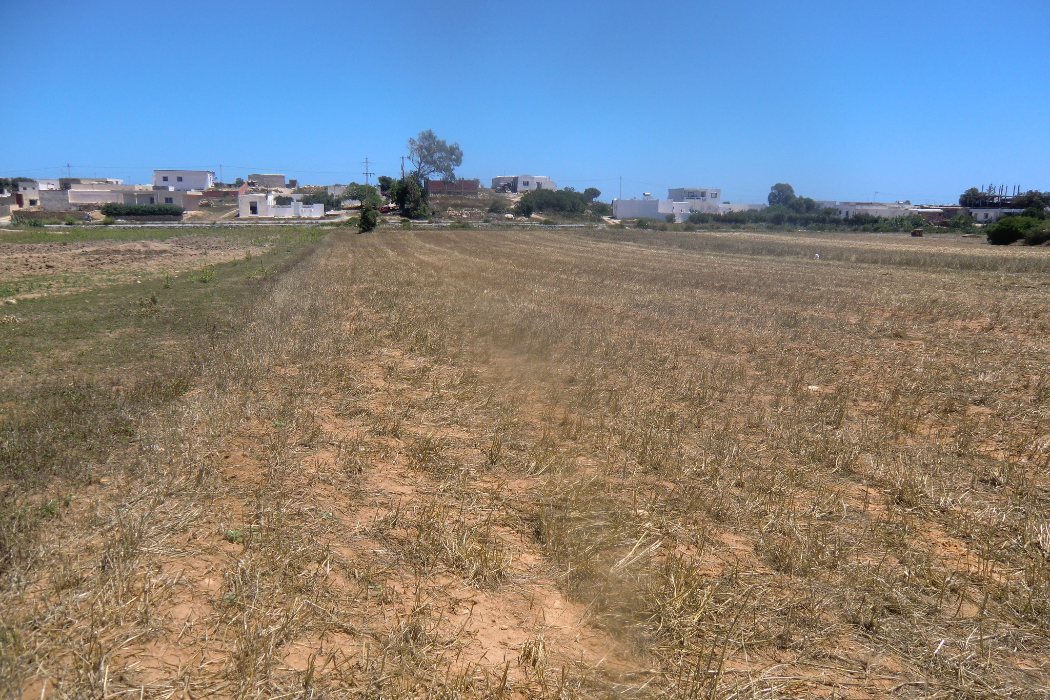 Terrain&nbsp;Terrain nu