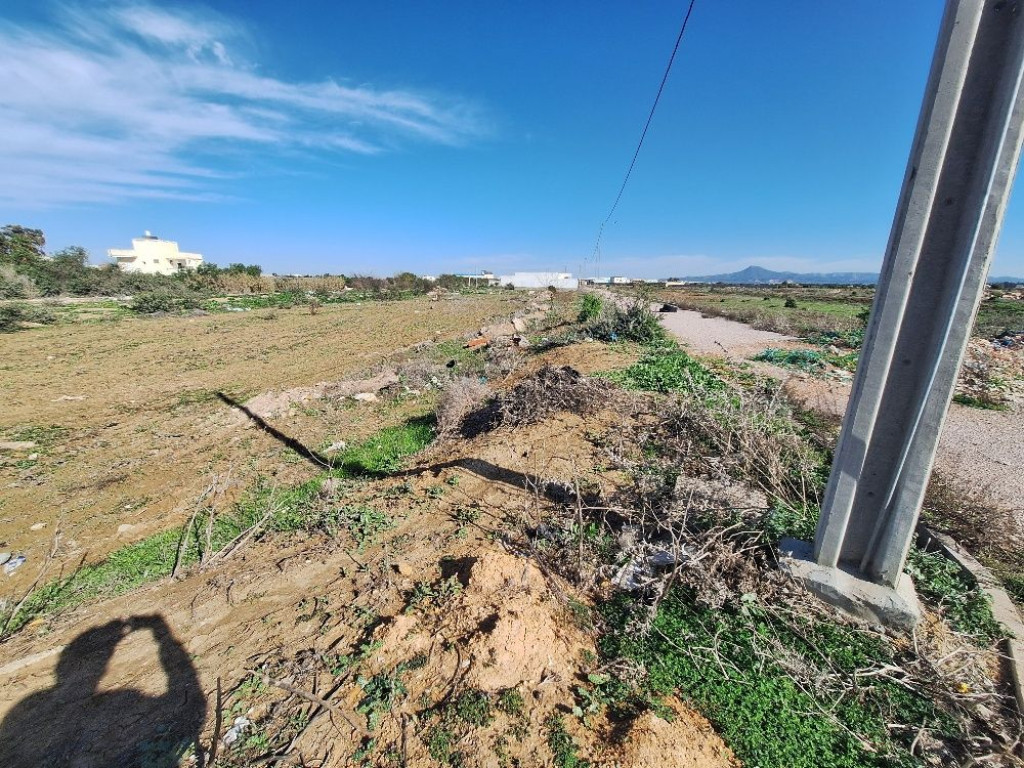 Fouchana Fouchana Terrain Terrain nu Terrain 337 m fouchana