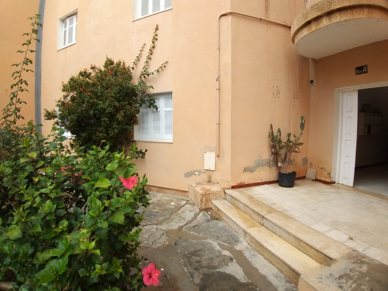 Location&nbsp;Appart. 3 pi�ces