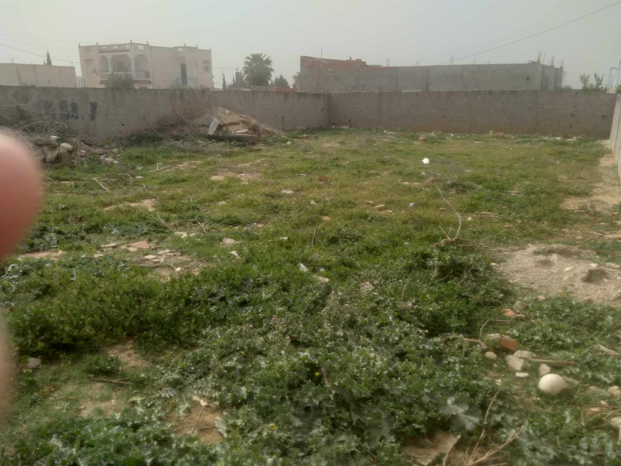 Terrain&nbsp;Terrain nu