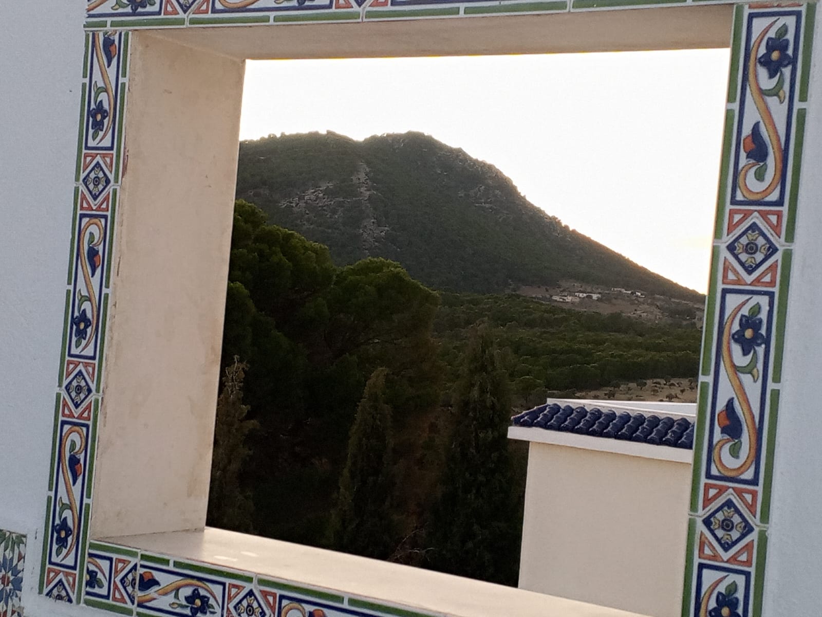 Siliana Sud Sidi Morched Vente Autre Ferme de charme en pleine nature