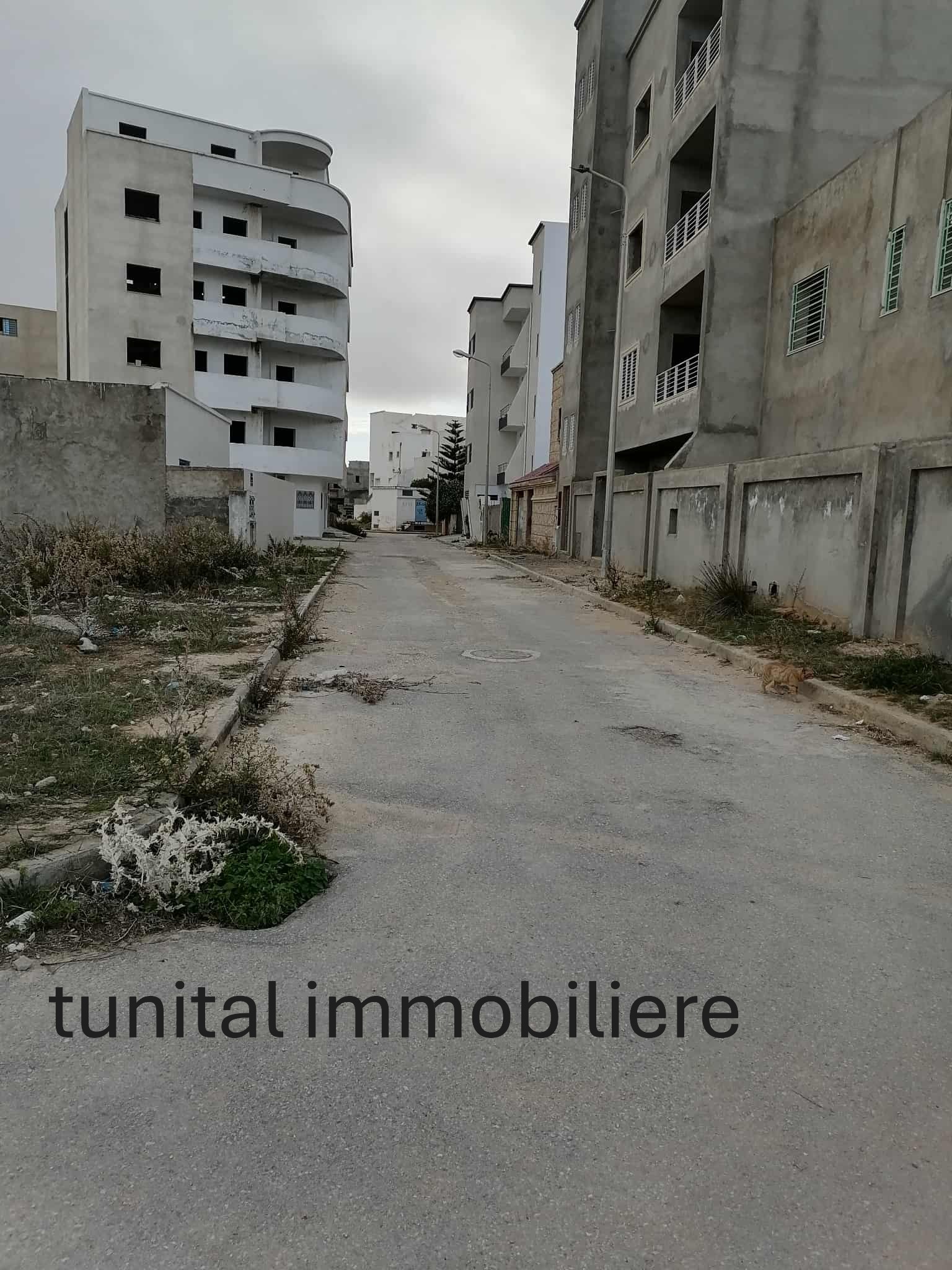 Raoued Raoued Terrain Terrain nu Raoued vers ariana lotissement tahmer