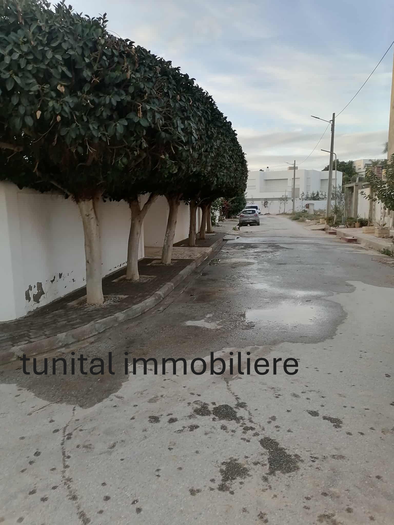 La Marsa Gammart Terrain Terrain nu Gammarth village cartier rsidentielle