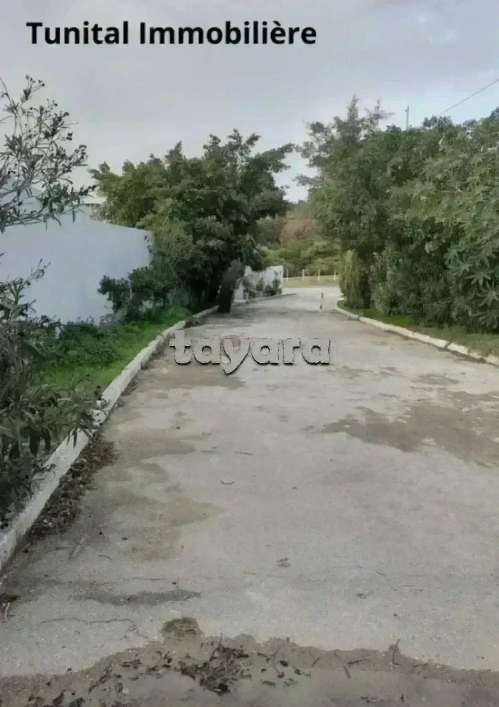 La Marsa&nbsp;Gammart&nbsp;Terrain&nbsp;Terrain nu&nbsp;Gammarth  sup�rieure cot� journal