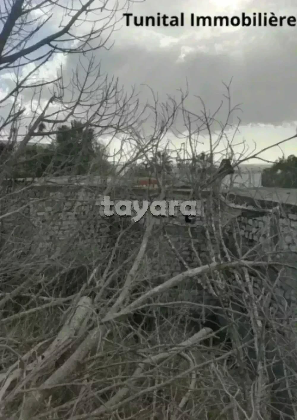 Terrain&nbsp;Terrain nu