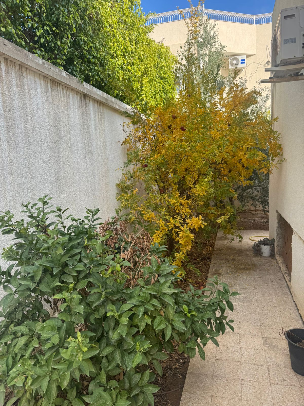 Sousse Jaouhara&nbsp;Cite Sahloul&nbsp;Vente&nbsp;Appart. 3 pi�ces&nbsp;Villa tr�s spacieuse � sahloul 3