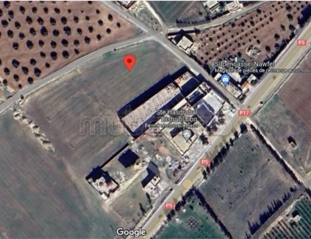 Terrain&nbsp;Terrain nu