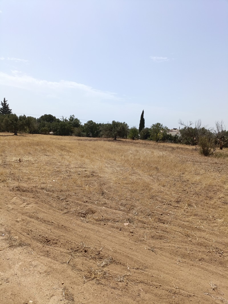 Hammamet&nbsp;Hammamet&nbsp;Terrain&nbsp;Terrain agricole&nbsp;Av terrain 2100m sur la route � sidi mtir