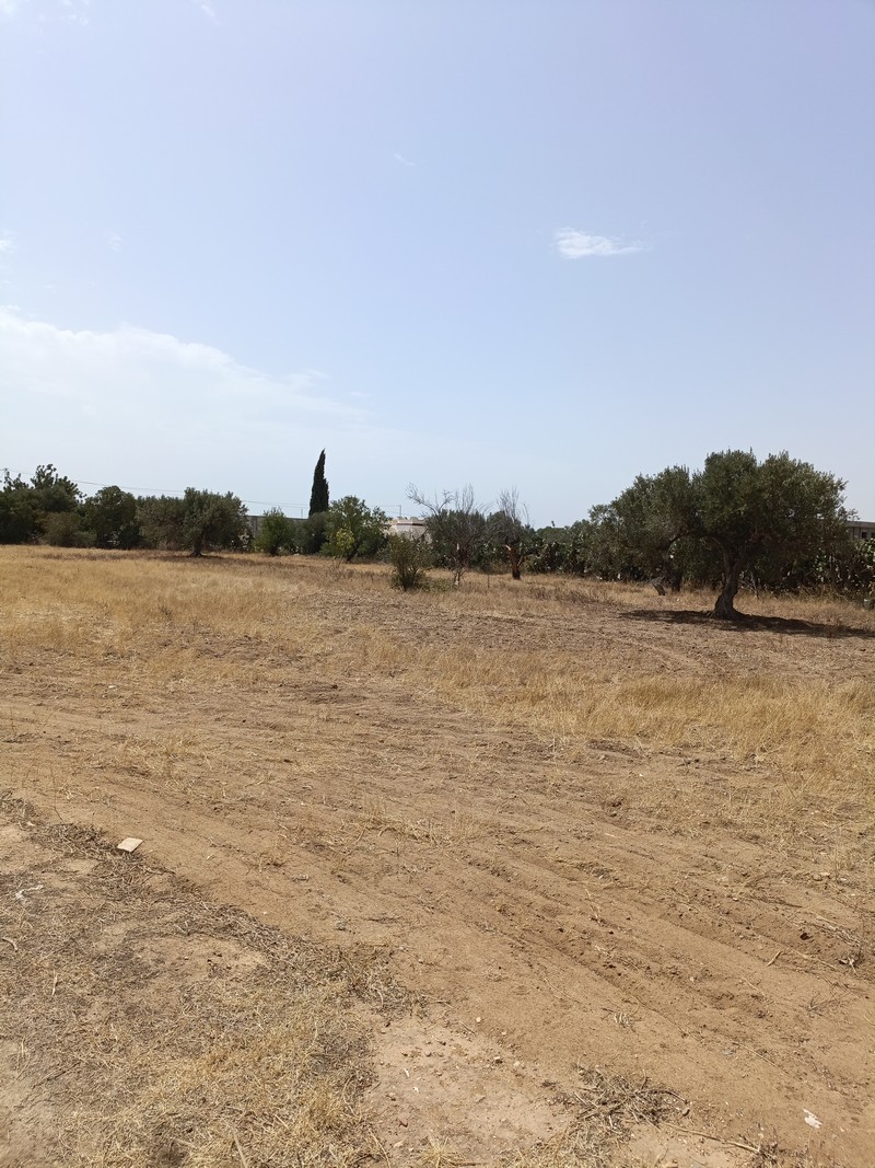 Hammamet&nbsp;Hammamet&nbsp;Terrain&nbsp;Terrain nu&nbsp;Av terrain 2100m � sidi mtire