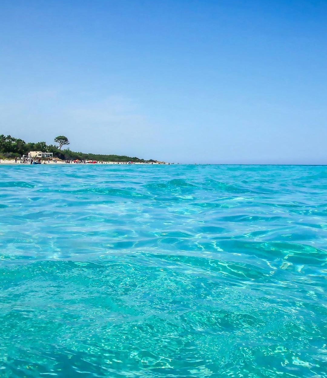 Terrain&nbsp;Terrain agricole