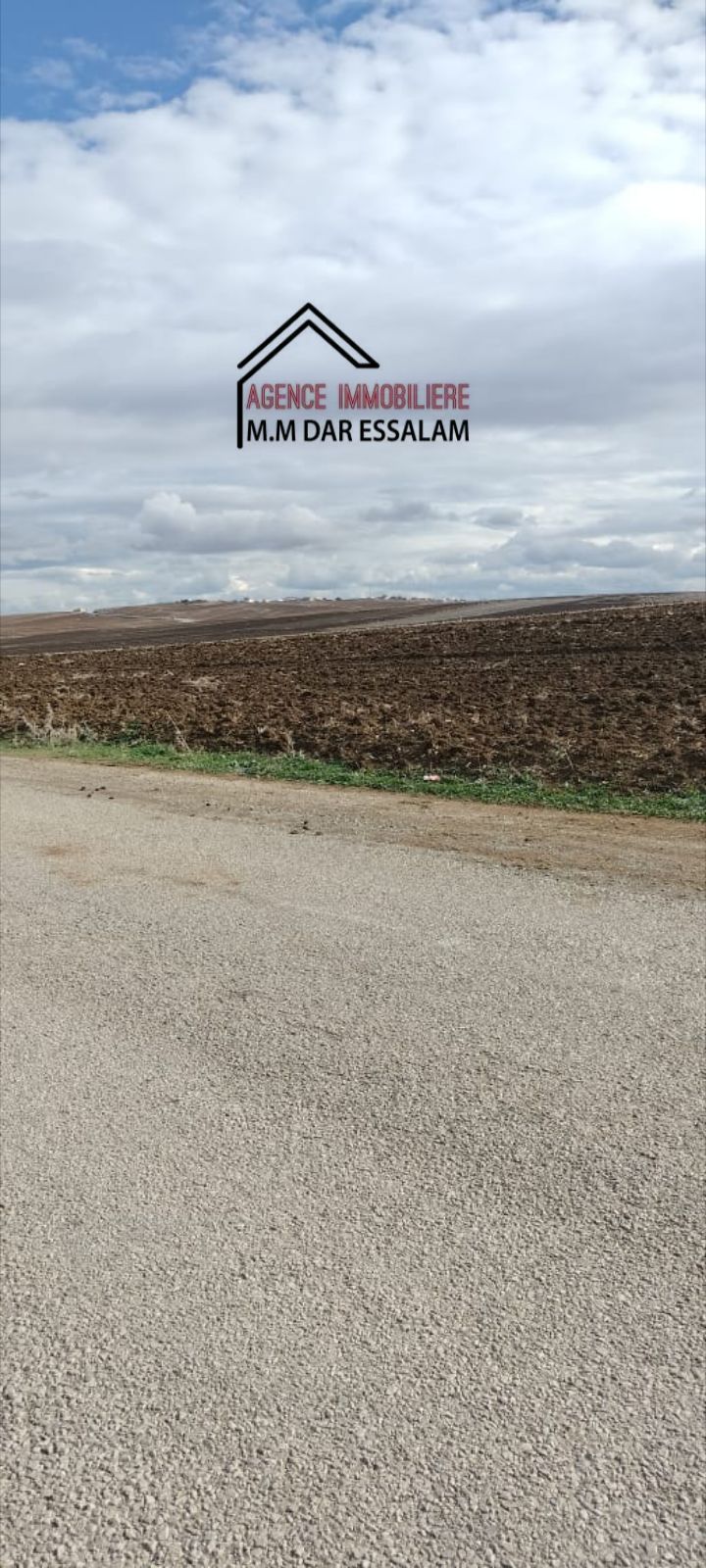 El Haouaria&nbsp;El Haouaria&nbsp;Terrain&nbsp;Terrain agricole&nbsp;Terrain agricole vue de mer