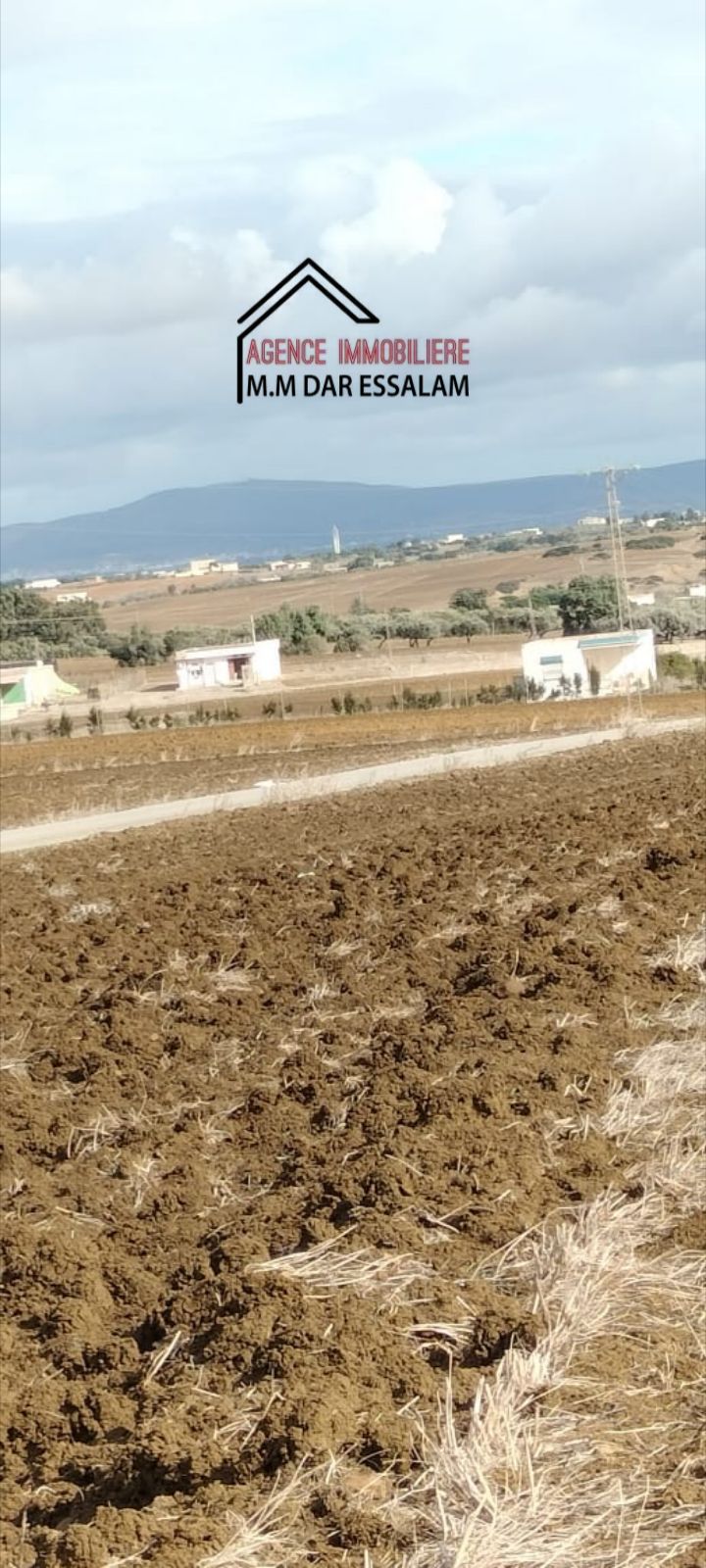 Terrain&nbsp;Terrain agricole