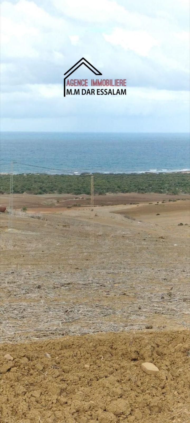 El Haouaria&nbsp;Bir El Jedey&nbsp;Terrain&nbsp;Terrain agricole&nbsp;Terrain pr�s d'el haouaria