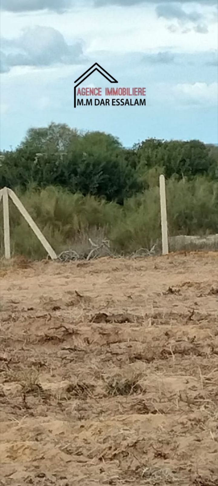 Terrain&nbsp;Terrain agricole