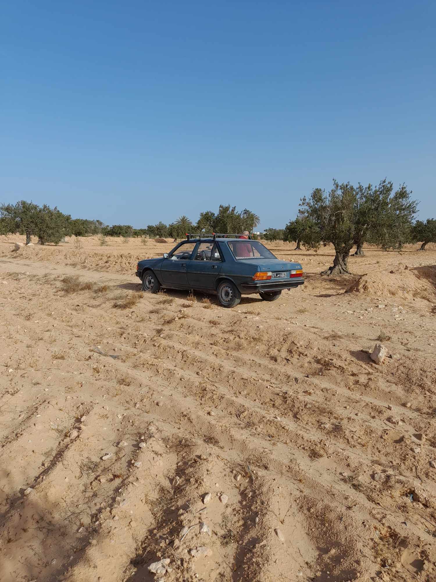 Djerba - Midoun&nbsp;El May&nbsp;Pi�ces D�tach�es&nbsp;Optiques et Phares&nbsp;Clientant de voiture peugeot 305 nouveau mod�le