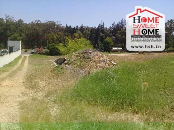 Terrain&nbsp;Terrain nu