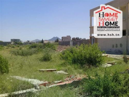 Terrain&nbsp;Terrain nu